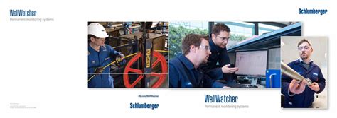 wellwatcher ps3|WellWatcher. WellWatcher. Permanent monitoring systems..